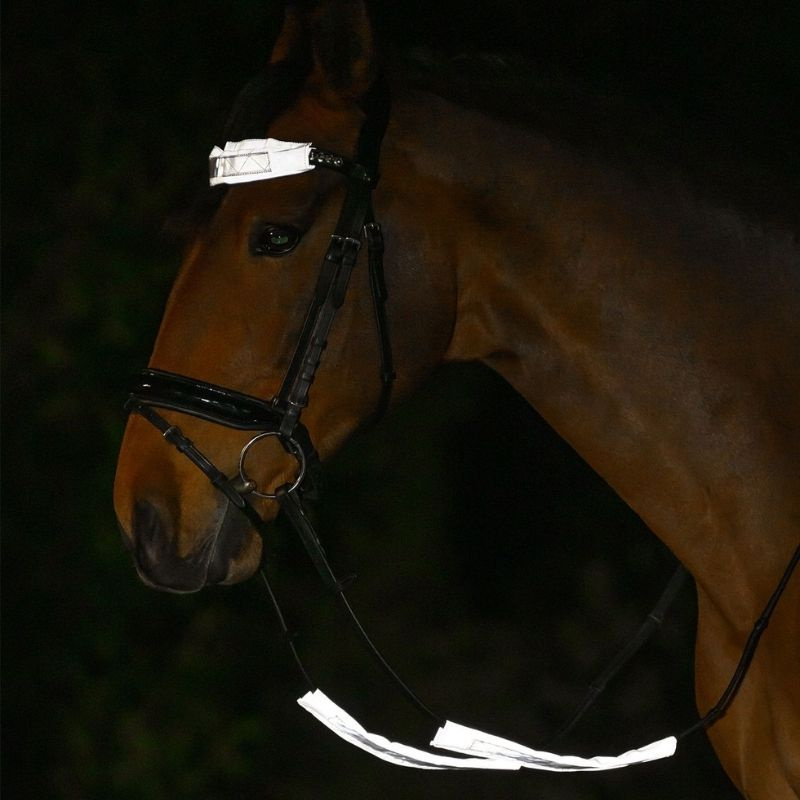 Reflectoren voor hoofdstel Set 3-pack Zilver