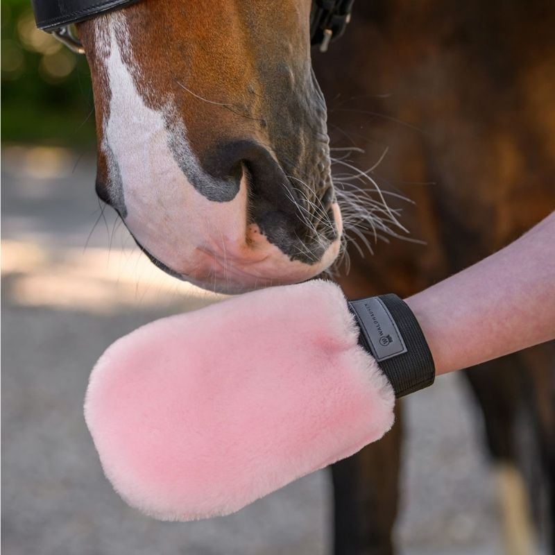 Poetshandschoen Lucky Lambskin Roze