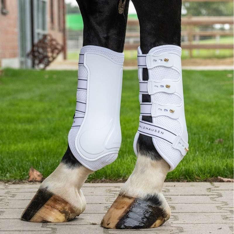 Dressuur beenbeschermers Breath Wit