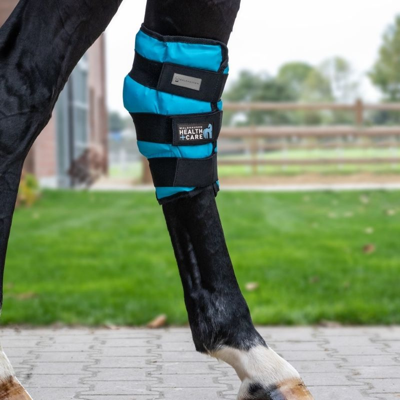 Koelende spronggewrichtbeschermers Cooling Gel Blauw Full