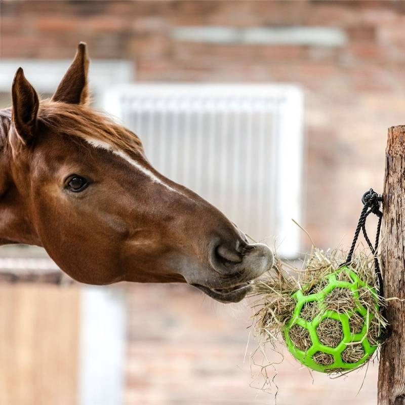 Hooibal Flexible Groen
