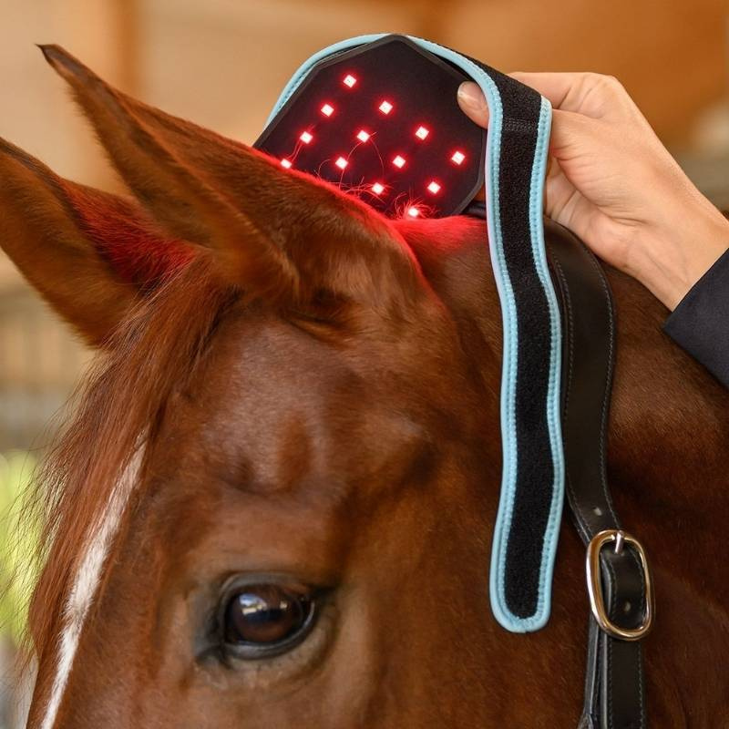 FlexPad Infrared Zwart
