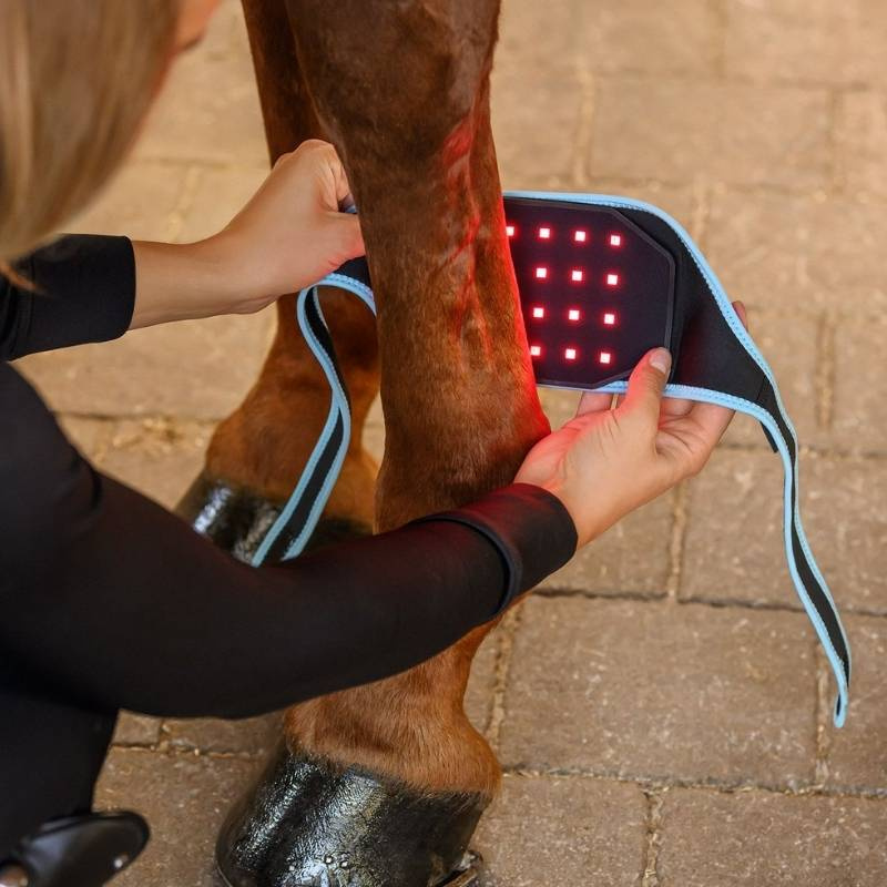 FlexPad Infrared Zwart