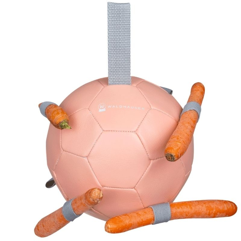 Paardenspeelgoed Carrot Ball Roze