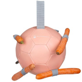 Paardenspeelgoed Carrot Ball Roze Paardenspeelgoed Carrot Ball Roze