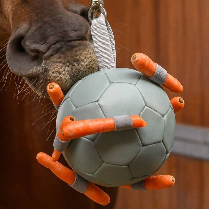 Paardenspeelgoed Carrot Ball Groen