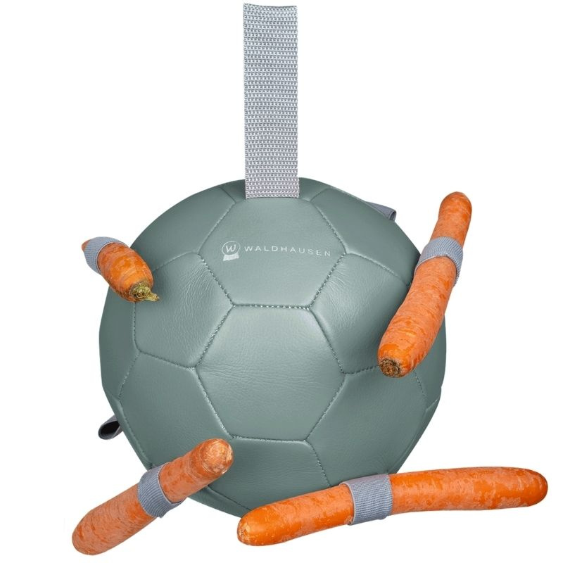 Paardenspeelgoed Carrot Ball Groen