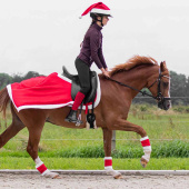 Beenbeschermers Christmas Rood/Wit Beenbeschermers Christmas Rood/Wit