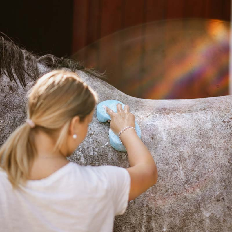 Was spons Cellulose Grooming Sponge Blauw