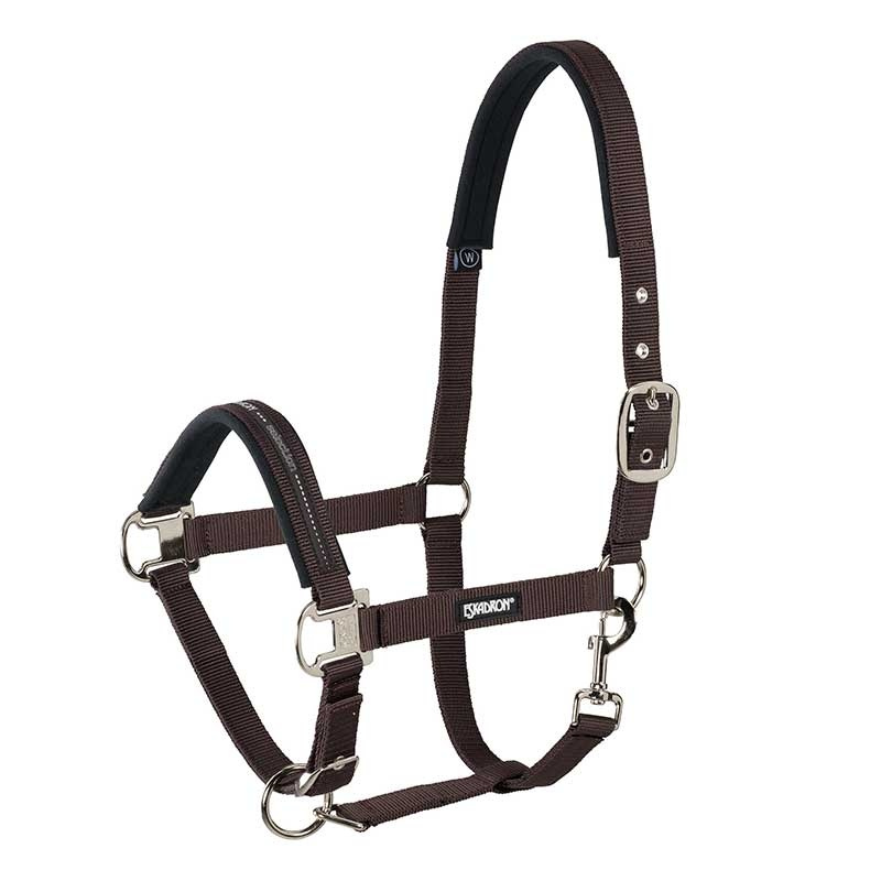 Halster Pin Buckle Bruin