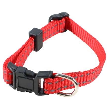 Puppy MITZO Rood
