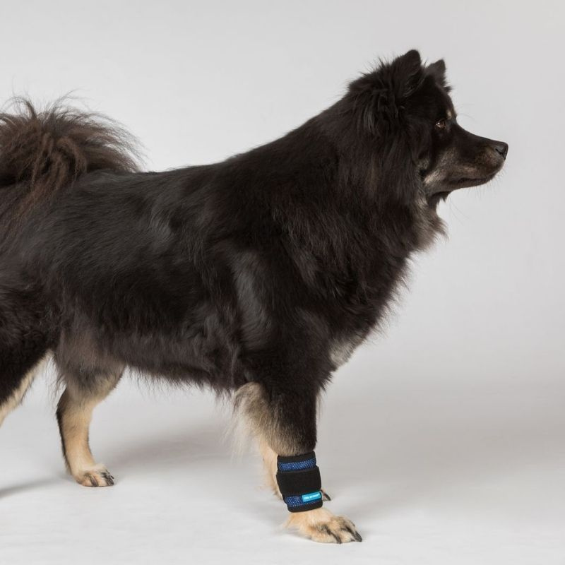 Koelbandage Cool on Track Blauw