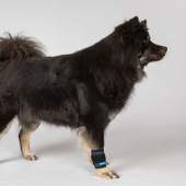 Koelbandage Cool on Track Blauw Koelbandage Cool on Track Blauw