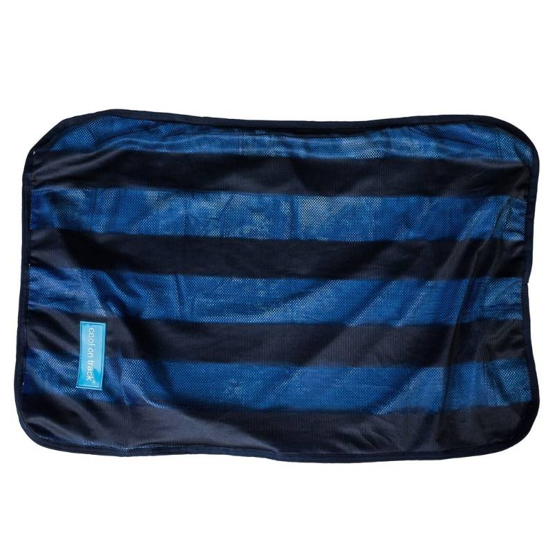 Koelhanddoek Cool on Track Blauw