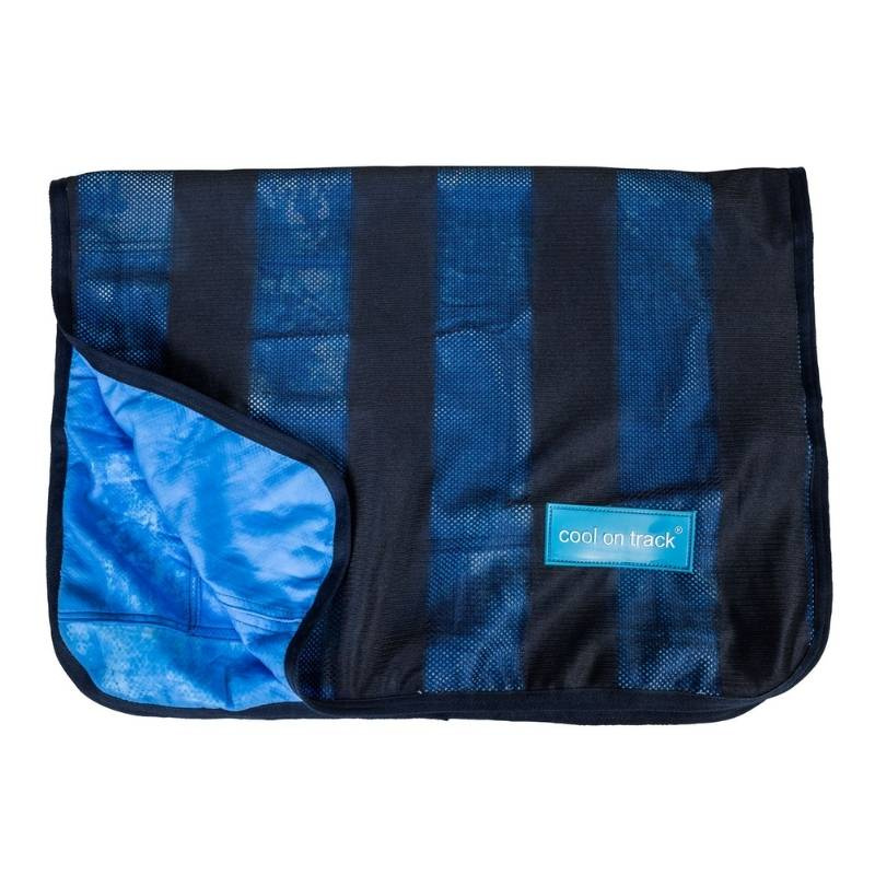 Koelhanddoek Cool on Track Blauw