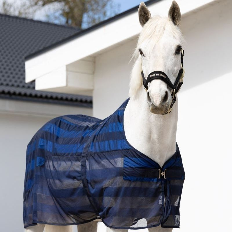 Koeldeken Cool on Track Blauw