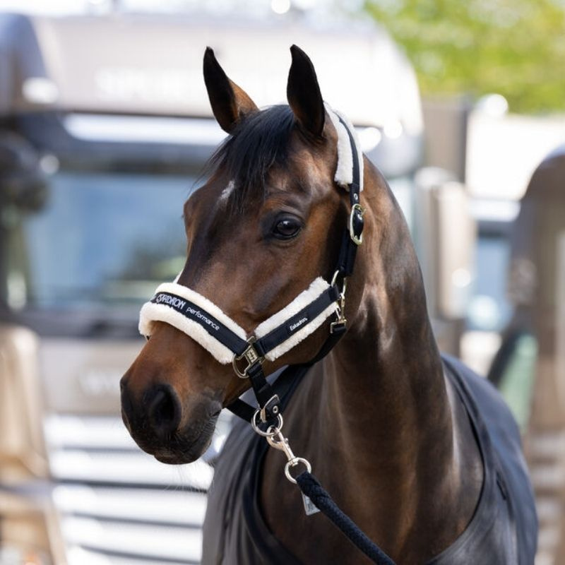 Halster Fauxfur Double Pin Zwart