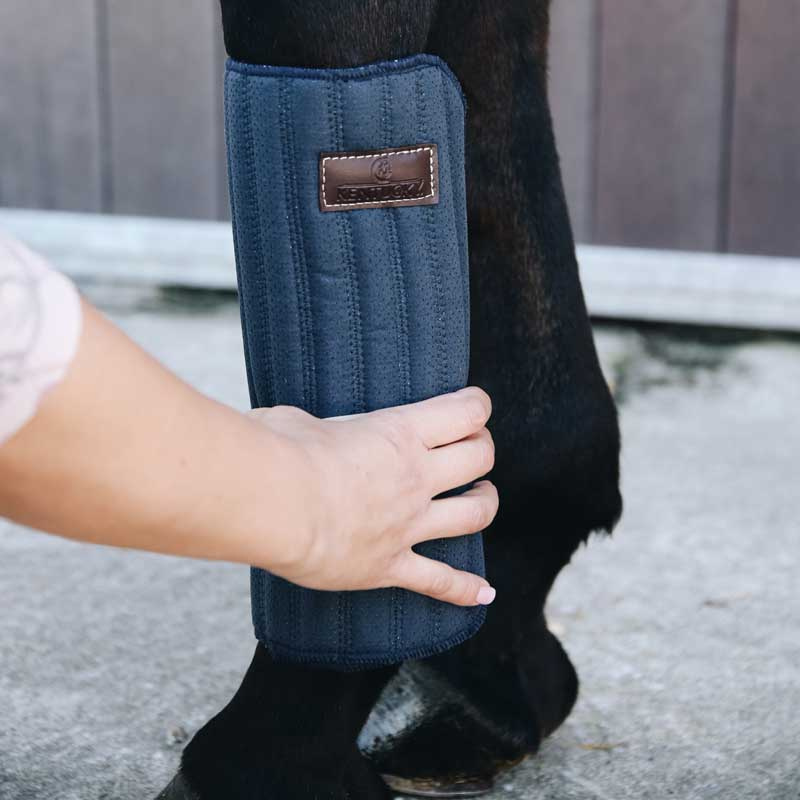 Zadelonderleggers Absorb 45 x 30 - 4-pack Marineblauw