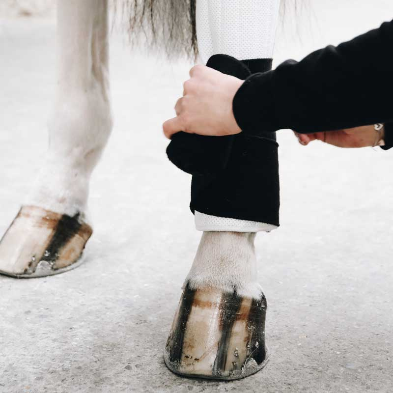 Zadelonderleggers Absorb 45 x 30 - 4-pack Zwart/Wit