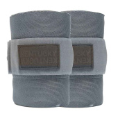 Bandages Repellent Working Grijs Bandages Repellent Working Grijs