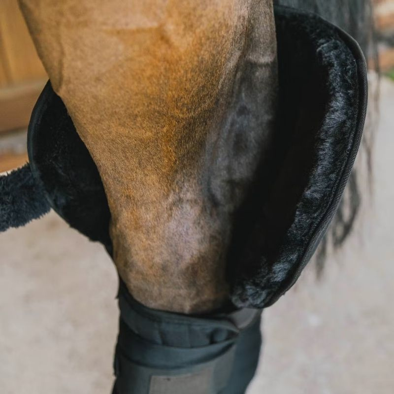 Beenbeschermers Hock Transport Protection Zwart