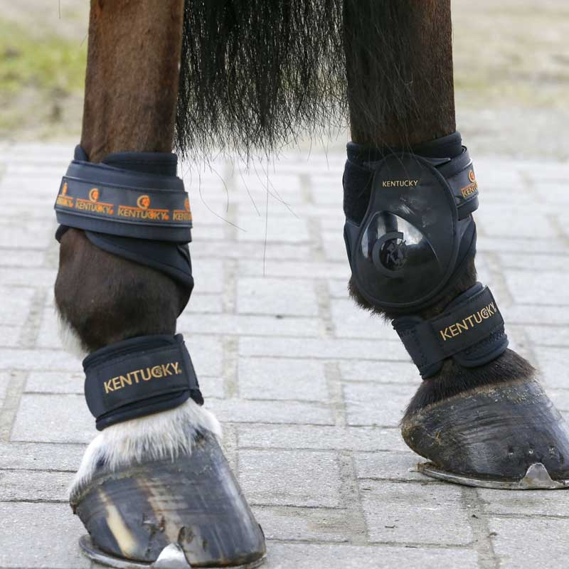 Kootbeschermers Zwart OneSize