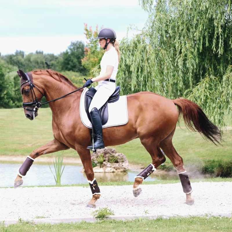 Beenbeschermers Leather Hind Bruin