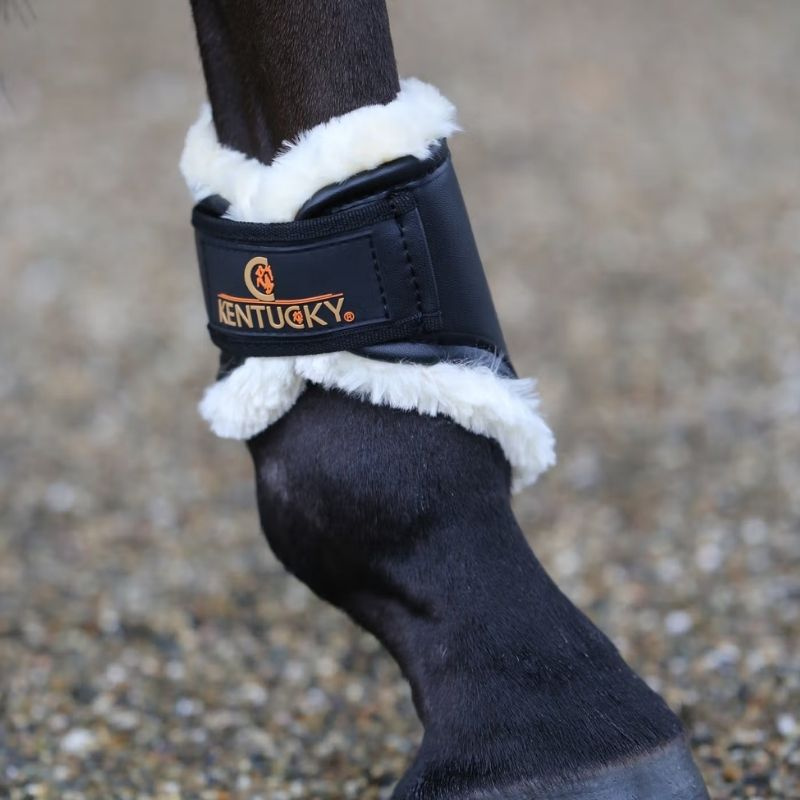 Beenbeschermers Leather Hind Short Zwart