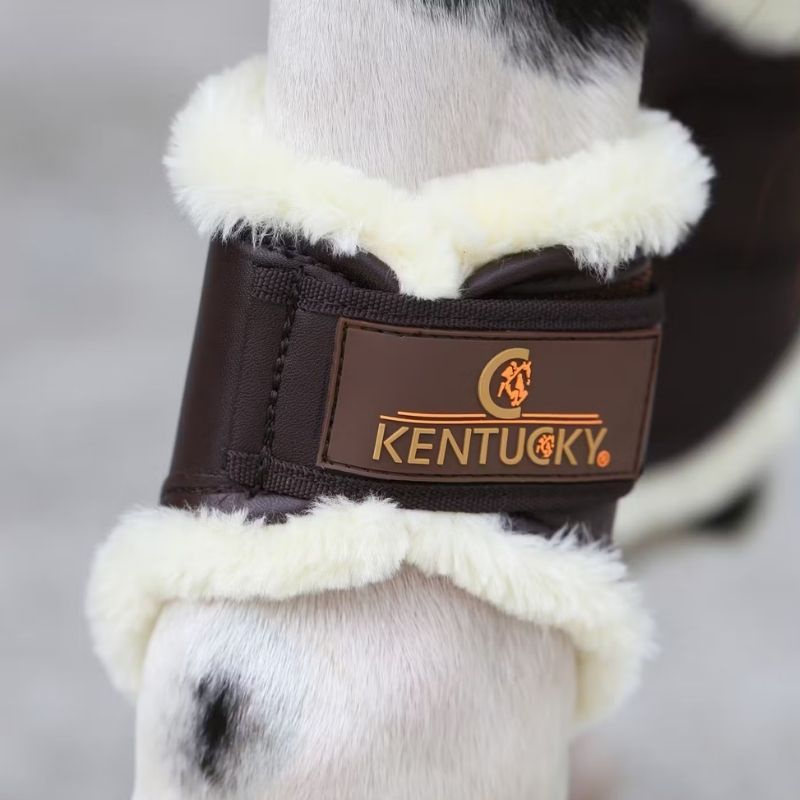 Beenbeschermers Leather Hind Short Bruin