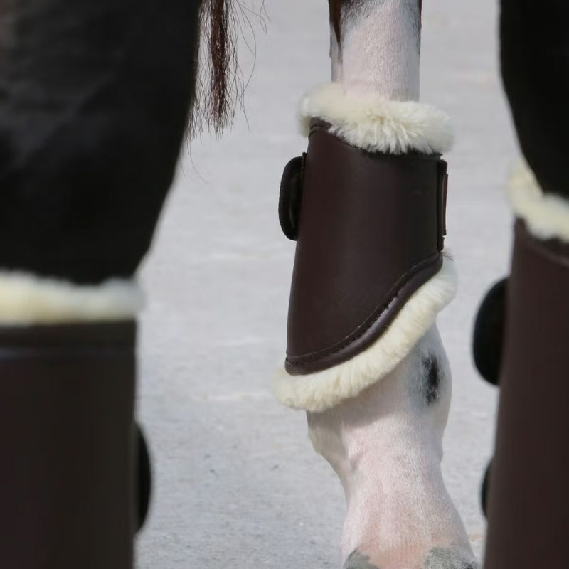 Beenbeschermers Leather Hind Short Bruin