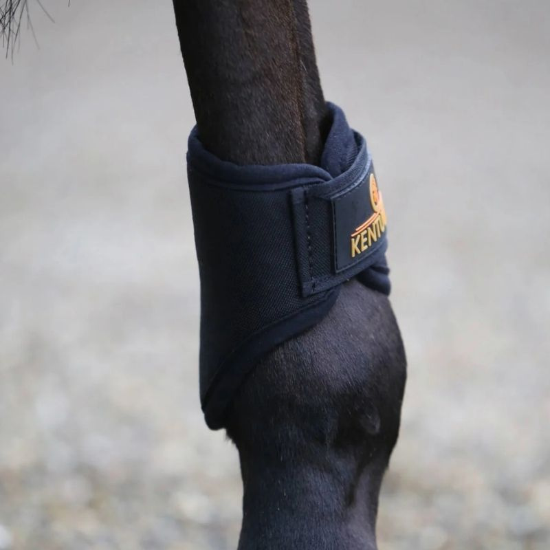 Beenbeschermers 3D Spacer Hind Short Zwart