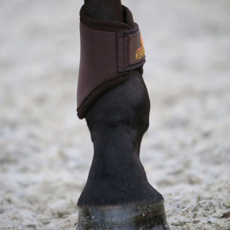 Beenbeschermers 3D Spacer Hind Short Bruin