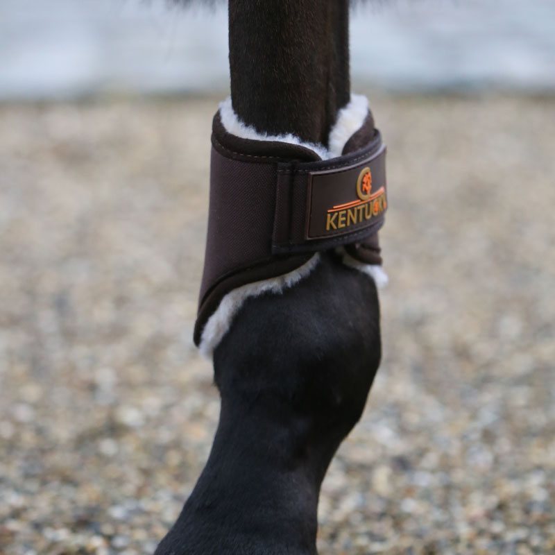 Beenbeschermers Solimbra Hind Short Bruin