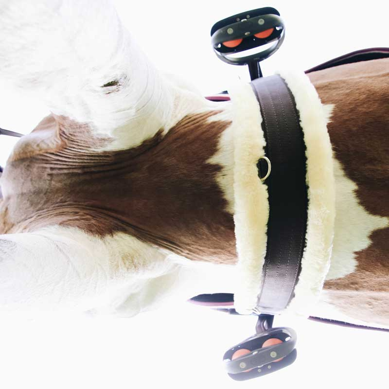 Singel Sheepskin Zwart