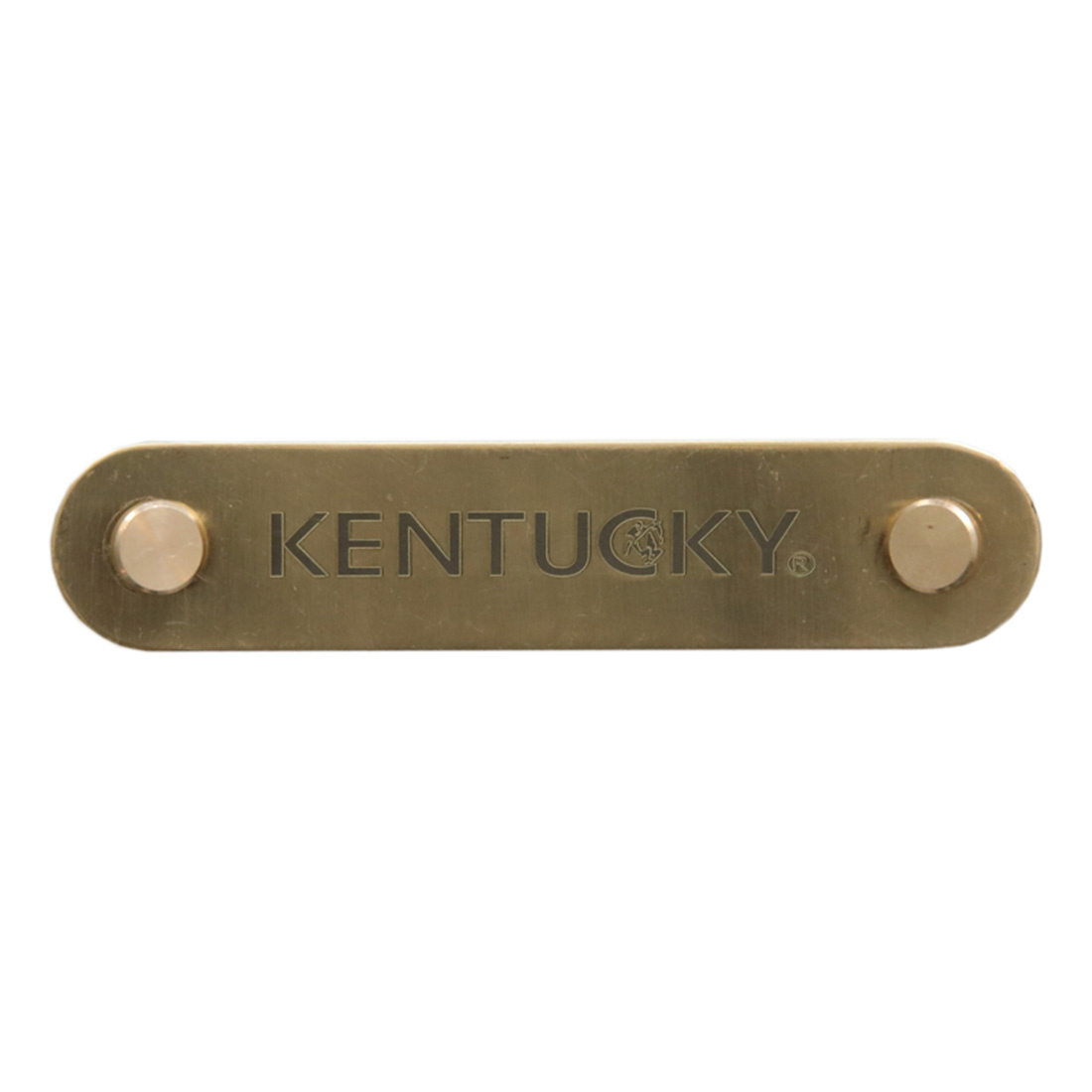Naamplaatje Logo Plate Goud