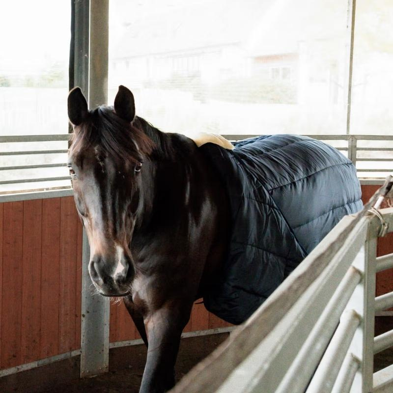 Dekensingel voor stapmolen Sheepskin Nylon Zwart