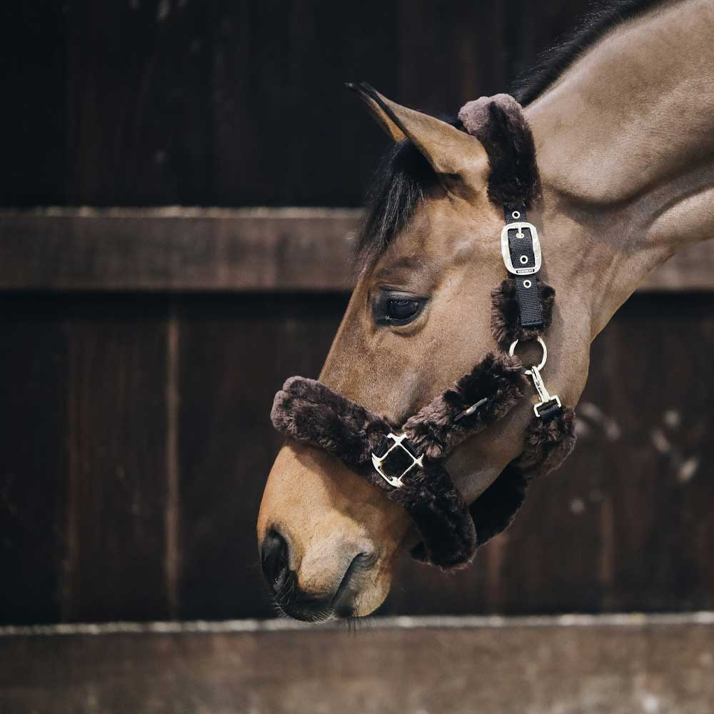 Transport Halster Sheepskin Bruin