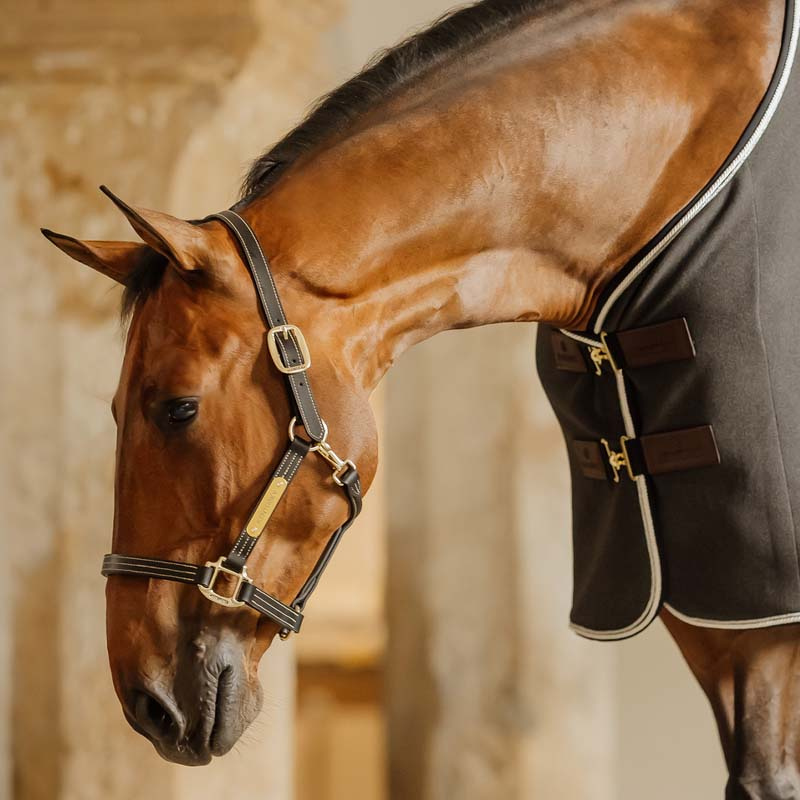 Leren halster Artificial Wellington Zwart