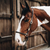 Verzorgingshalster Artificial Leather Bruin Verzorgingshalster Artificial Leather Bruin