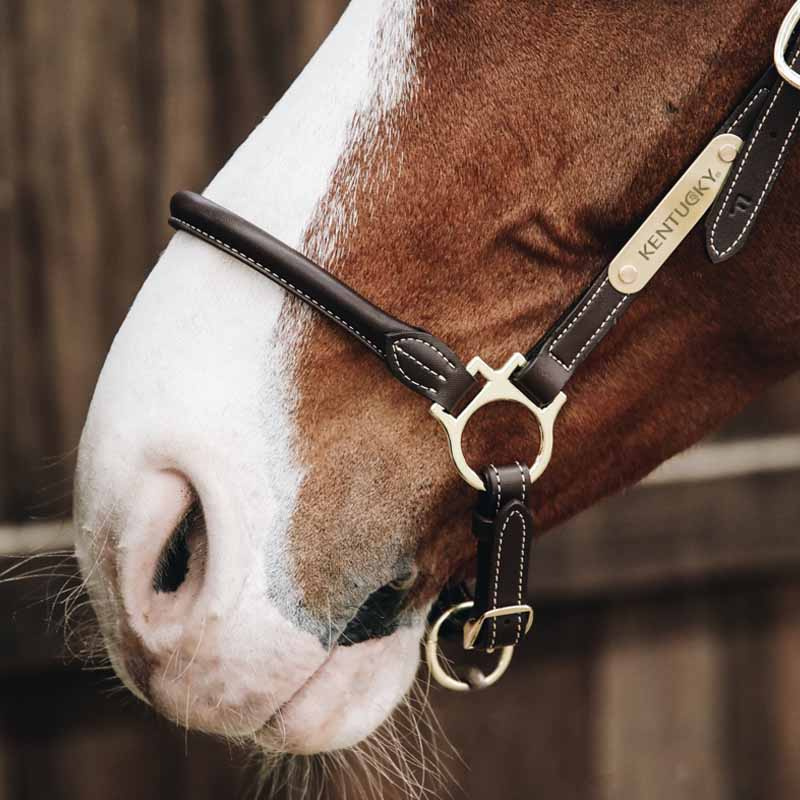 Verzorgingshalster Artificial Leather Bruin