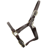 Gevlochten Nylon Halster Grijs Gevlochten Nylon Halster Grijs