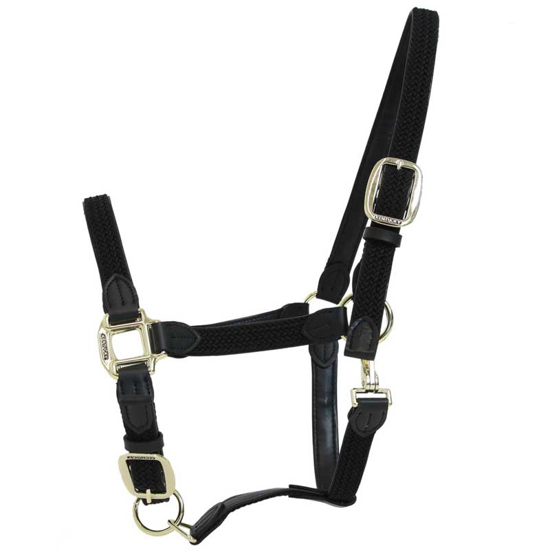 Gevlochten Nylon Halster Zwart