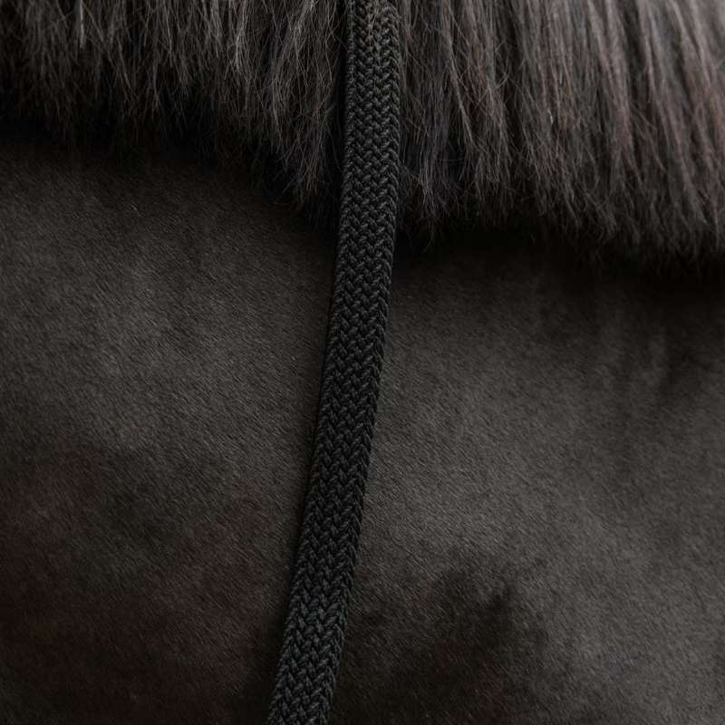 Halstertouw Plaited Nylon Zwart