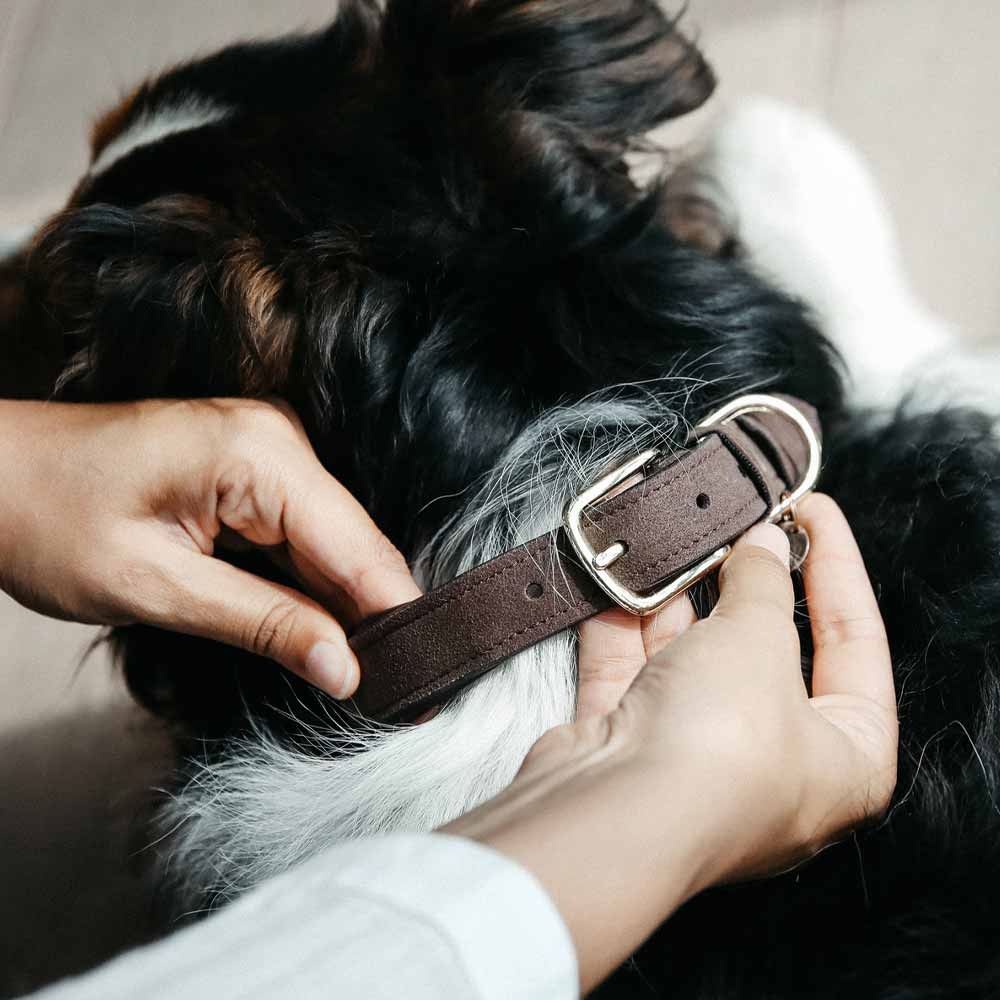 Hondenriem Velvet Leer Bruin