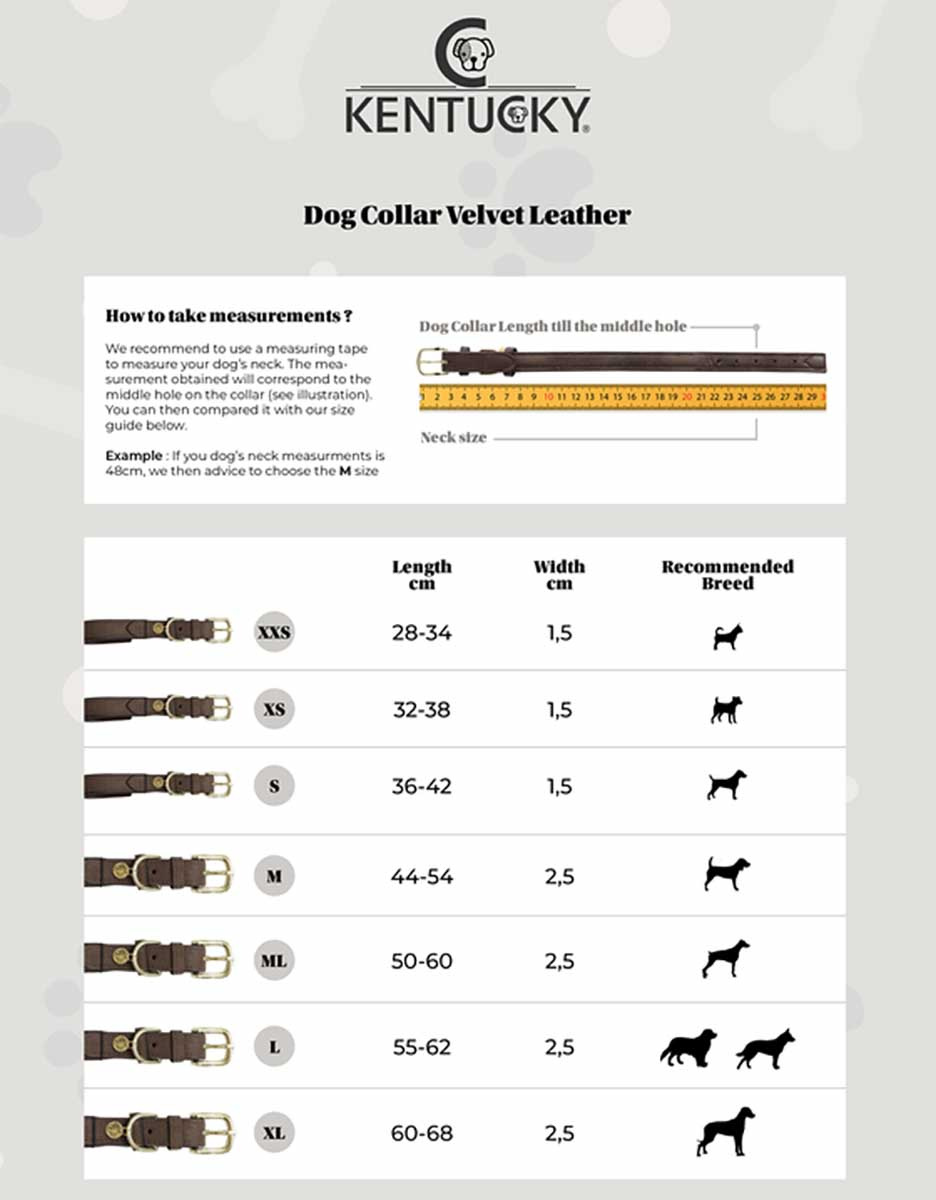 Hondenriem Velvet Leer Bruin