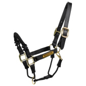 Halster Control Nylon Rope Zwart Halster Control Nylon Rope Zwart