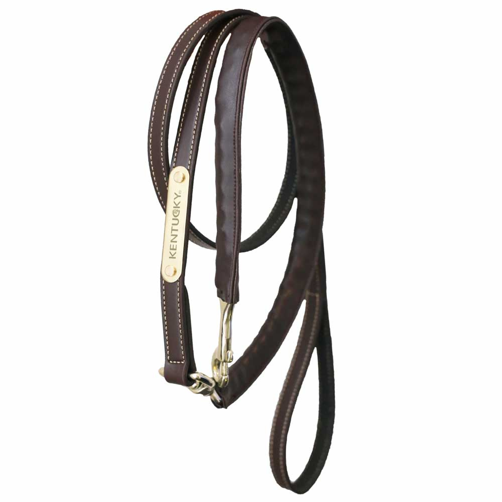 Leer Gevoerde Ketting Leid Touw Bruin