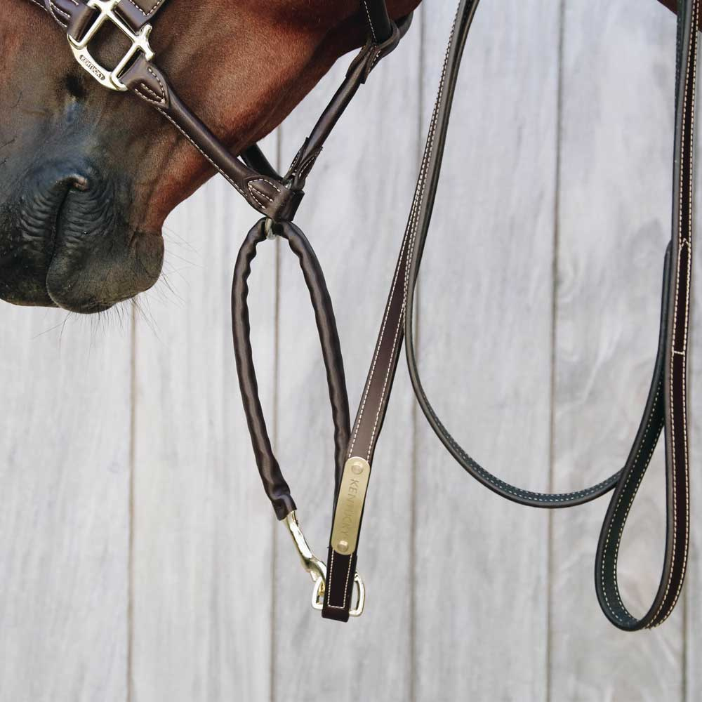 Leer Gevoerde Ketting Leid Touw Bruin