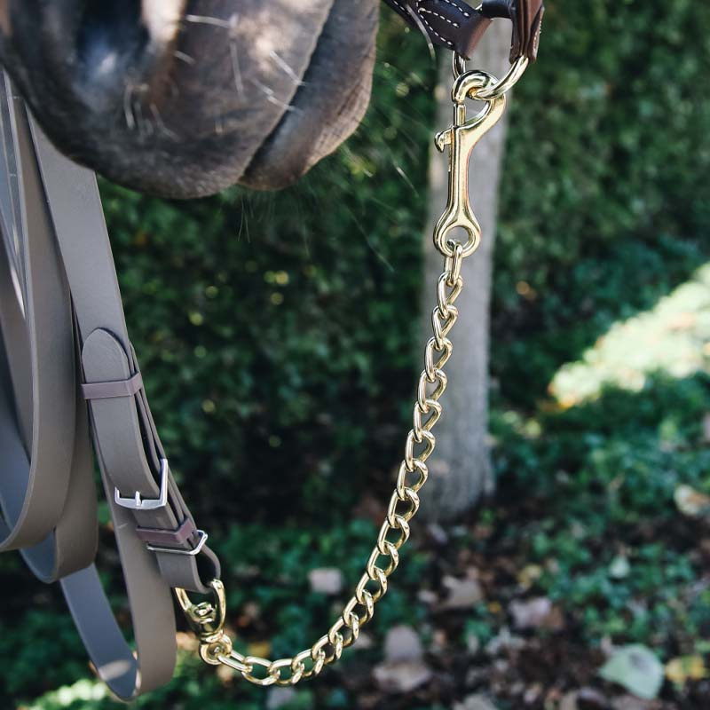 Ketting Stallion Goud 60