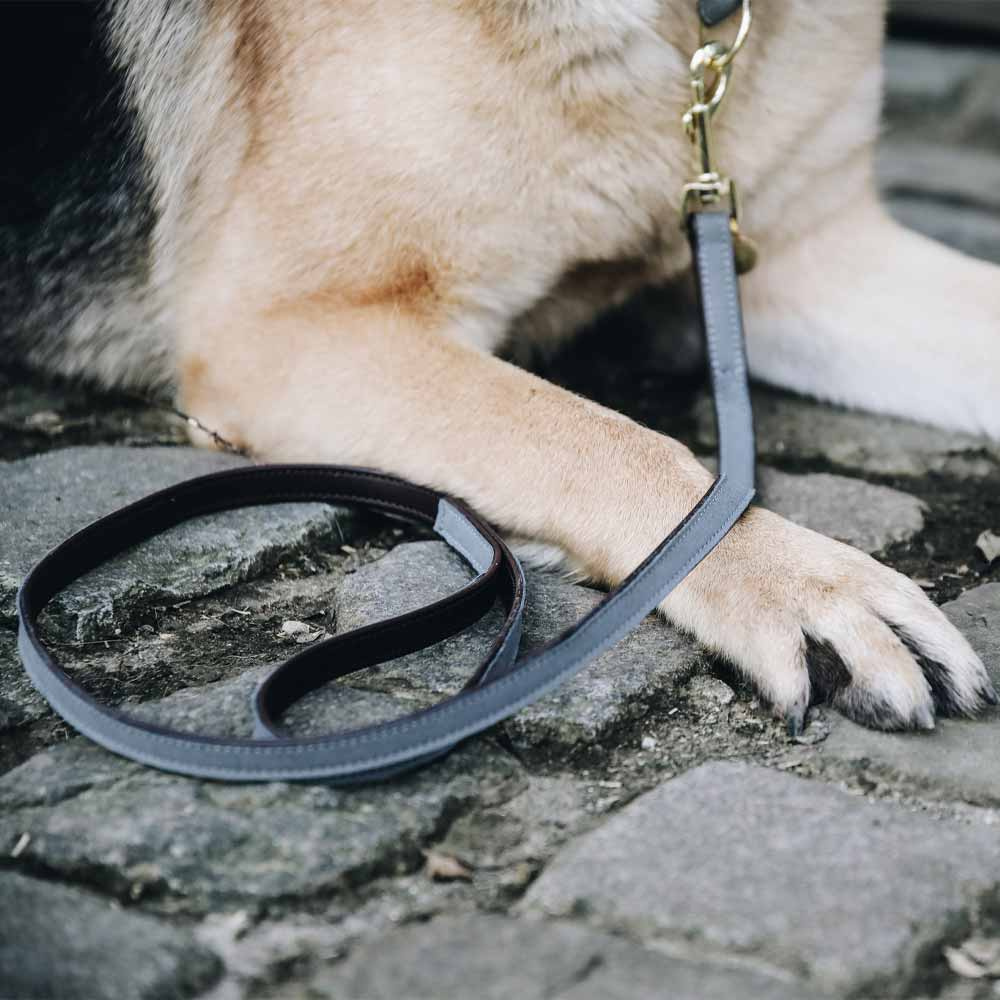 Hondenriem Loop Grijs